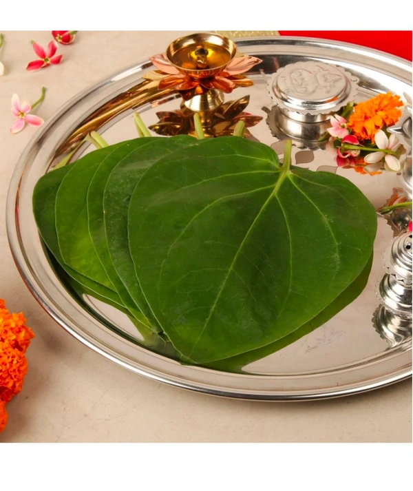 Betel Leaves (Paan Patta) (10p ) 25rs