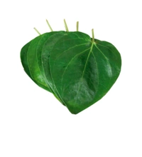 Betel Leaves (Paan Patta) (10p ) 25rs