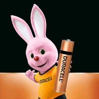 Duracell Alkaline AAA Battery, Pack of 10, Everyday Devices, Clock, Toy, Remote