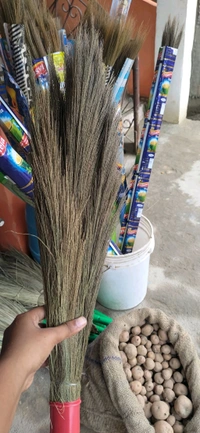 Khajur Jhadu
