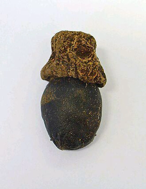 Bhilawa (भिलावा) - 1 Peace