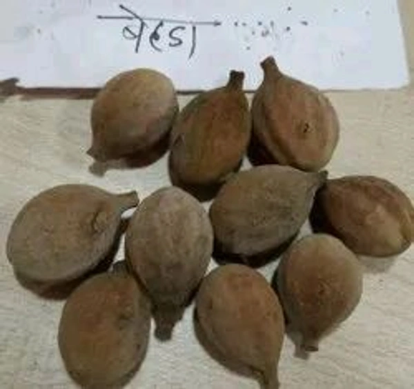 Bahra(बहरा), Bahda (बहड़) - 100gm