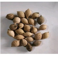 Bahra(बहरा), Bahda (बहड़) - 100gm