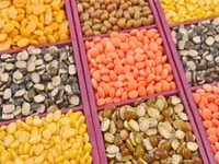 рдирд╡ рдЧреГрд╣ рджрд╛рд▓ (Nav Grah Dale)