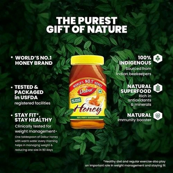 Dabar Dabur Honey - 100% Pure, World's No.1 Honey Brand (No Sugar Adulteration), Sahad Sahd - 50g