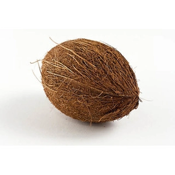 Nariyal Paani Bala, Nariyal Jta Bala - 1piece