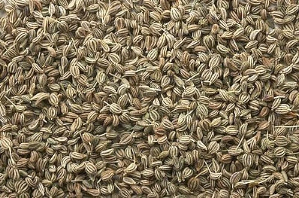 Vedic Ajwain, Ajvain Neelkanth Kalash Brand - 50g