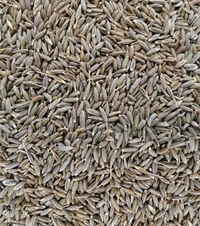 Jira Seeds ,Jeera Seeds,Cumin Seeds  - 50gm