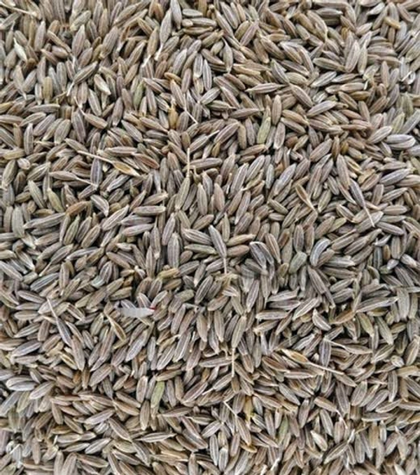 Jira Seeds ,Jeera Seeds,Cumin Seeds  - 50gm