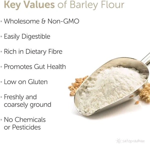 Jau AttaBarley Flour, Barley Atta, जौ आटा  - 500gm