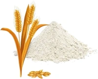 Jau AttaBarley Flour, Barley Atta, जौ आटा - 1kg