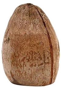 Sukha Nariyal (सूखा नारियल) - 1piece