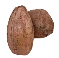 Sukha Nariyal (सूखा नारियल) - 1piece