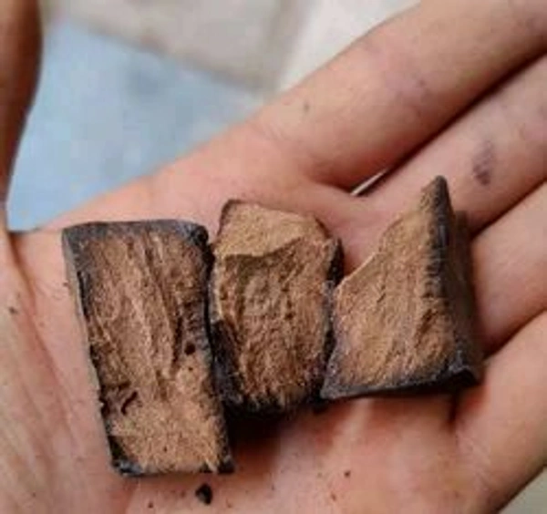 Desi Kala Kattha Sabut  - 50gm