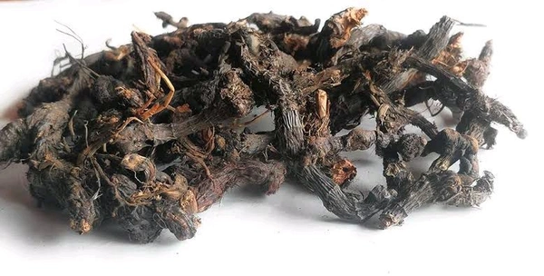 नागरमोथा जड़ें (साइपेरस रटुंडस) - नटसेज घास - अखरोट घास - नागरमोथा जेड,Organic Cyperus rotundus (Nagarmotha) Roots - Cultivator Natural - 50gm