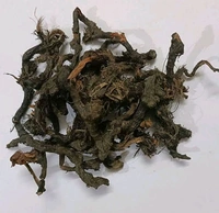 नागरमोथा जड़ें (साइपेरस रटुंडस) - नटसेज घास - अखरोट घास - नागरमोथा जेड,Organic Cyperus rotundus (Nagarmotha) Roots - Cultivator Natural - 50gm