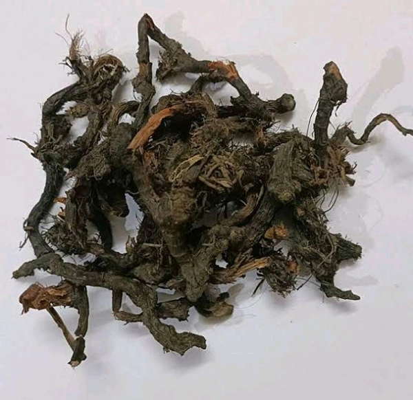 नागरमोथा जड़ें (साइपेरस रटुंडस) - नटसेज घास - अखरोट घास - नागरमोथा जेड,Organic Cyperus rotundus (Nagarmotha) Roots - Cultivator Natural - 50gm