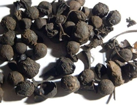 SADHGURU सुगन्ध कोकिला, सुगंध कोकिला - लॉरेल बेरी - दालचीनी सेसिडोडाफने,Cinnamomum Glaucescens Sugandh Kokila - 50gm