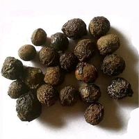 SADHGURU सुगन्ध कोकिला, सुगंध कोकिला - लॉरेल बेरी - दालचीनी सेसिडोडाफने,Cinnamomum Glaucescens Sugandh Kokila - 50gm