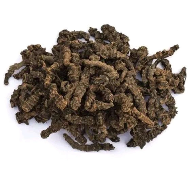 Sugandh Bala, सुगंध बाला सुगन्ध वाला - 50gm