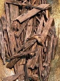 рдкреВрдЬрд╛ рдЙрджреНрджреЗрд╢реНрдп рдХреЗ рд▓рд┐рдП рдЕрдЧрд░ рд▓рдХрдбрд╝реА,рдЕрдЧрд░ рдХрд╛рд▓реА - рдЕрдЧрд░ рдХреА рд▓рдХрдбрд╝реА - рдПрдХреНрд╡рд┐рд▓рд╛рд░рд┐рдпрд╛ рдПрдЧрд▓реЛрдЪрд╛ - рдКрдж рдХреА рд▓рдХрдбрд╝реА