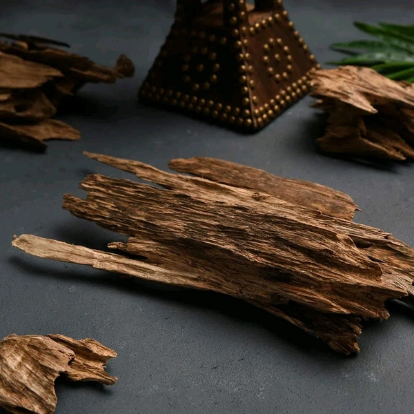 рдкреВрдЬрд╛ рдЙрджреНрджреЗрд╢реНрдп рдХреЗ рд▓рд┐рдП рдЕрдЧрд░ рд▓рдХрдбрд╝реА,рдЕрдЧрд░ рдХрд╛рд▓реА - рдЕрдЧрд░ рдХреА рд▓рдХрдбрд╝реА - рдПрдХреНрд╡рд┐рд▓рд╛рд░рд┐рдпрд╛ рдПрдЧрд▓реЛрдЪрд╛ - рдКрдж рдХреА рд▓рдХрдбрд╝реА