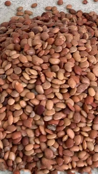 Horse Gram Dal  | Kulthi Dal कुर्थि दाल  - 500gm