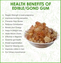 Gondh Katira , Gond Katira - 50gm