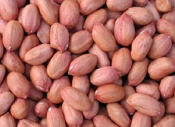 Groundnut Seeds , मूंगफली के दाने(कच्चे) - 500gm