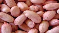 Groundnut Seeds , मूंगफली के दाने(कच्चे) - 1kg