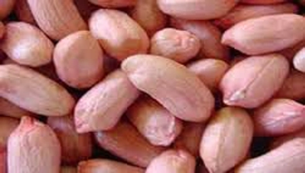 Groundnut Seeds , मूंगफली के दाने(कच्चे) - 1kg