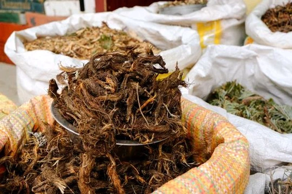 Jatamashi ,PRODUCTS рдЬрдЯрд╛рдорд╛рдВрд╕реА | рдмрд╛рд▓рдЪрд╛рдб | рд╕рднреА рдмрд╛рд▓, рдирд╛рд░рджреЛрд╕реНрддрд╛рдЪрд┐рд╕ рдЬрдЯрд╛рдорд╛рдВрд╕реА | рд╕реНрдкрд╛рдЗрдХреЗрдирд╛рд░реНрдб | рдХрд╕реНрддреВрд░реА рдЬрдбрд╝ | рдирд╛рд░реНрдб рдЗрдВрдбрд┐рдпрди