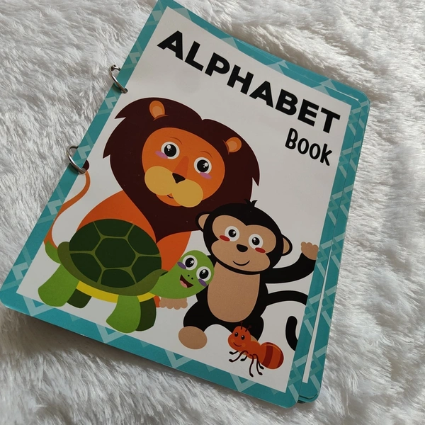 Reusable Alphabet Book