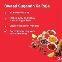 Badshah Pav Bhaji Masala: 100 g - 100g