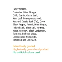 Everest Chhole Masala: 100 g - 100g