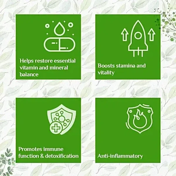 Organic India Moringa Powder: 100 g - 100g