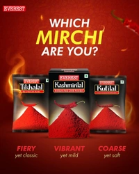 Everest Kashmirilal Red Chilli Powder: 100 g - 100G