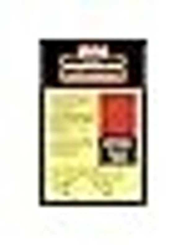 Everest Kashmirilal Red Chilli Powder: 100 g - 100G