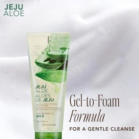 The Face Shop Jeju Aloe Fresh Soothing Foam Cleanser: 150 ml - 150ml