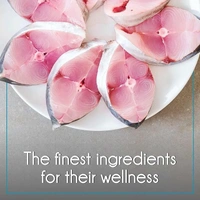 Purepet Ocean Fish Adult Cat Food: 1 kg - 1 kg