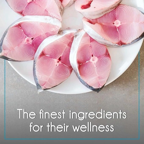 Purepet Mackerel Adult Cat Food: 1 kg - 1 kg