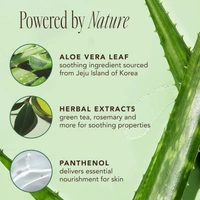 The Face Shop Jeju Aloe Fresh Soothing Foam Cleanser: 150 ml - 150ml