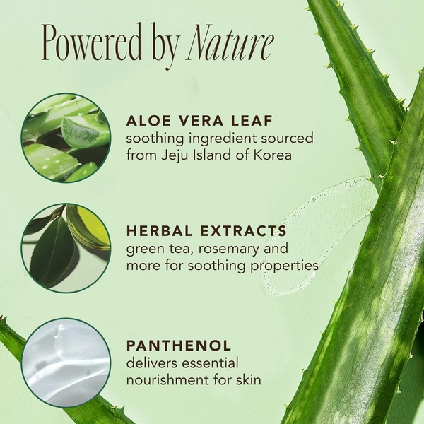 The Face Shop Jeju Aloe Fresh Soothing Foam Cleanser: 150 ml - 150ml