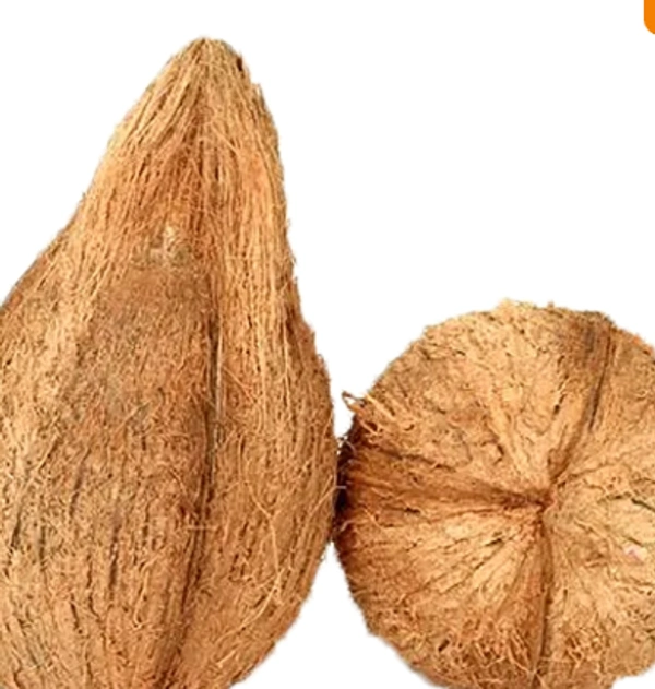  Malgudi Fresh Coconut Small: 1 UNIT - 250-350 g