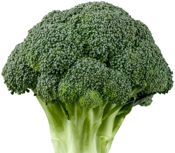  Nutrifresh Fresh Broccoli: 1 Piece (Approx. 200-350 g) - 200-350 g