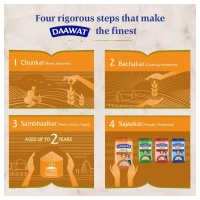 Daawat Rozana Super Basmati Rice: 5 kgs - 5kg