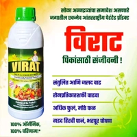 Virat