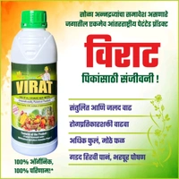 Virat