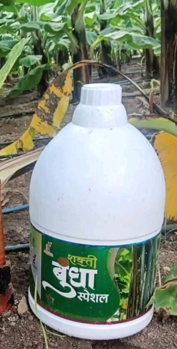 Shakti Bundha Special