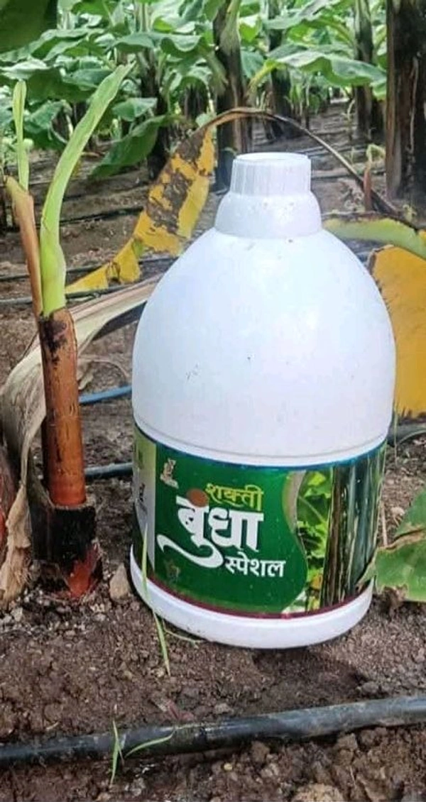 Shakti Bundha Special